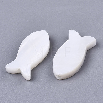Natural Freshwater Shell Beads SSHEL-R049-04-1
