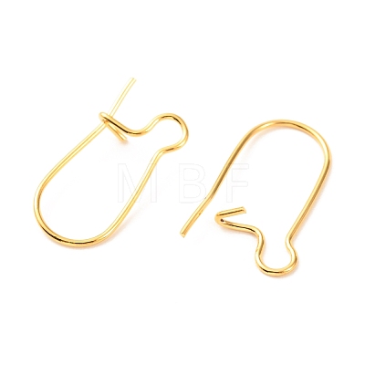 Brass Hoop Earring Findings KK-F824-009G-1
