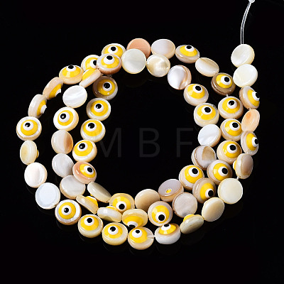 Natural Freshwater Shell Beads Strands SHEL-N003-15-1