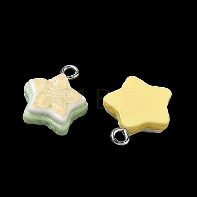 Opaque Resin Pendants RESI-B044-09P-1