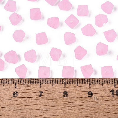 FGB Frosted Transparent Glass Seed Beads SEED-N013-03A-05-1