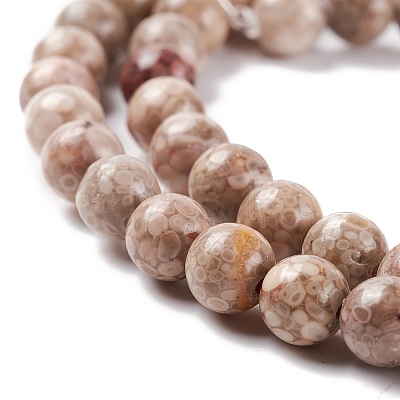 Natural Maifanite/Maifan Stone Beads Strands G-P451-01B-B-1