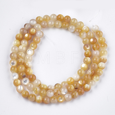 Yellow Shell Beads Strands SHEL-S274-93C-1