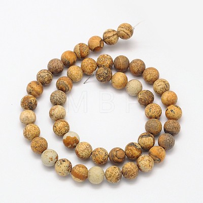 Frosted Round Natural Picture Jasper Beads Strands G-N0166-46-6mm-1