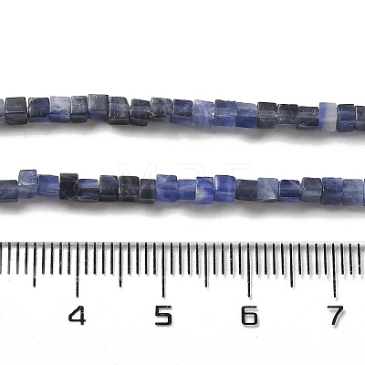 Natural Sodalite Beads Strands G-B064-A27-1