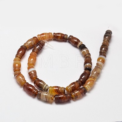 Column Natural Striped Agate/Banded Agate Bead Strands G-M258-41-1