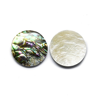 Natural Abalone Shell/Paua Shell Cabochons SHEL-K008-08-1