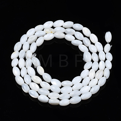 Natural Freshwater Shell Beads Strands SHEL-N003-25-A01-1