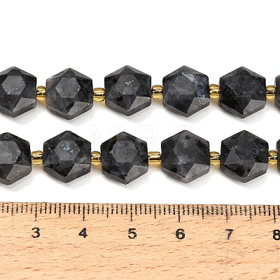 Natural Larvikite Beads Strands GG-CBA4A3B-B17-1