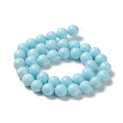 Natural Howlite Beads Strands G-E604-B02-C-1