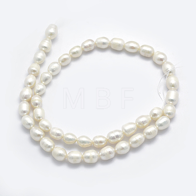 Natural Cultured Freshwater Pearl Beads Strands PEAR-K003-24A-1