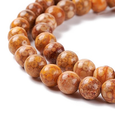 Natural Maifanite/Maifan Stone Beads Strands G-P451-01B-C-1