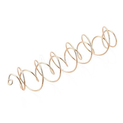 201 Stainless Steel Plant Hangers STAS-N120-02G-1