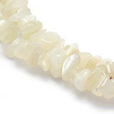 Natural White Moonstone Beads Strands X-G-P332-01-1