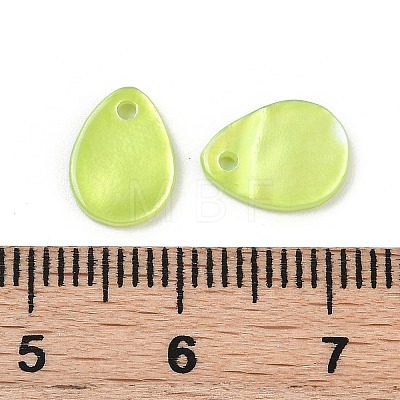 Spray Painted Natural Freshwater Shell Teardrop Charms SHEL-K006-47A-1