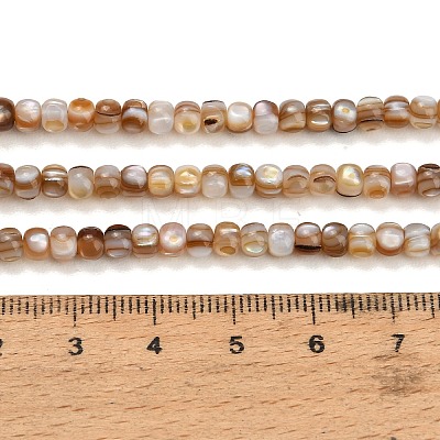 Natural Freshwater Shell Beads Strands SH-CBA93AD-03-1