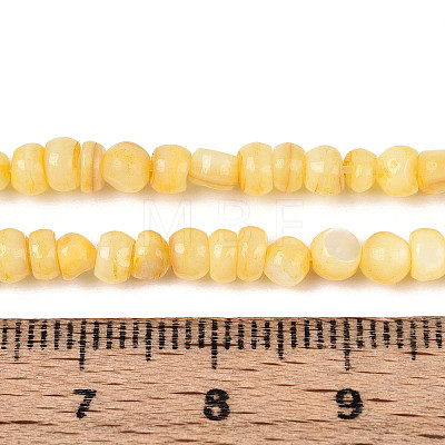 Natural Freshwater Shell Dyed Beads Strands SHEL-T020-29A-08-1