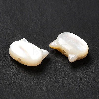 Natural White Shell Beads SHEL-G014-10A-01-1