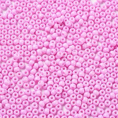 Baking Paint Glass Seed Beads SEED-H002-I-A528-1