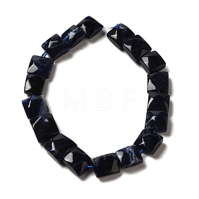 Natural Sodalite Beads Strands G-C109-A08-01-1