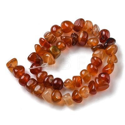 Natural Agate Beads Strands G-C039-F02-1