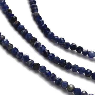 Natural Sodalite Beads Strands G-RM2025-A19-2mm-B-1
