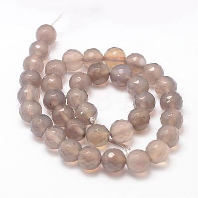 Natural Agate Bead Strands G-K155-D-10mm-F01-1