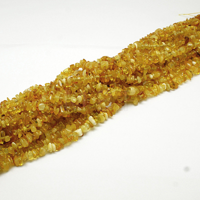 Natural Amber Chip Beads Strands X-G-E333-01A-1