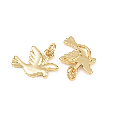 Brass Pendants KK-L275-58G-02-1