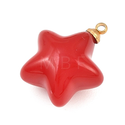 304 Stainless Steel Resin Pendants LS-STAS-K322-10D-02-1