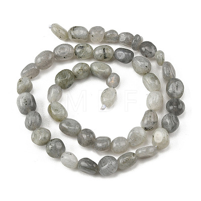 Natural Labradorite Beads Strands G-P623-A03-01-1