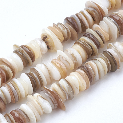 Natural Shell Beads Strands SSHEL-Q298-13-1