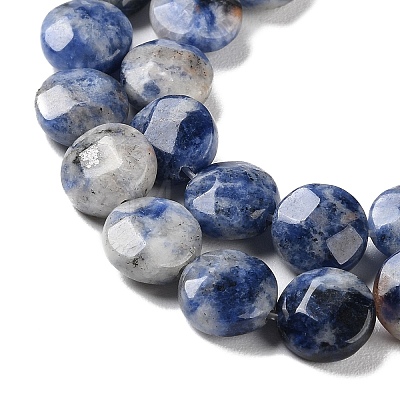 Natural Blue Spot Jasper Beads Strands G-K357-B14-01-1