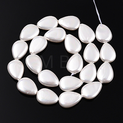 Electroplate Natural Freshwater Shell Beads Strands SHEL-R049-026A-1