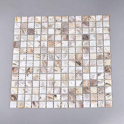 Natural Freshwater Shell Mosaic Tile Cabochons SHEL-Q029-05A-1
