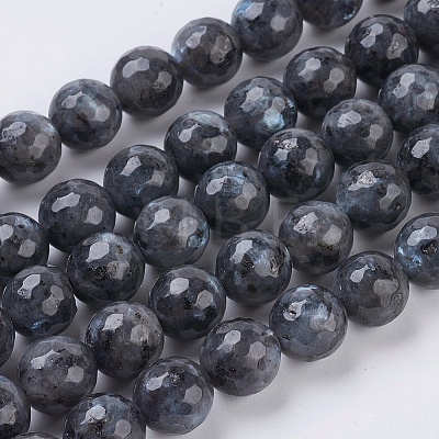 Natural Larvikite Beads Strands X-G-G542-10mm-27-1