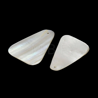 Dyed Natural Shell Pendants SHEL-C010-13B-1