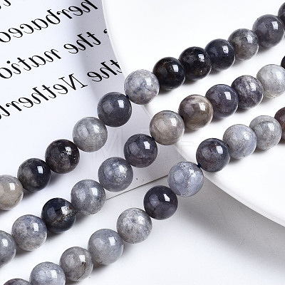 Natural Iolite Beads Strands G-N328-50C-01-1