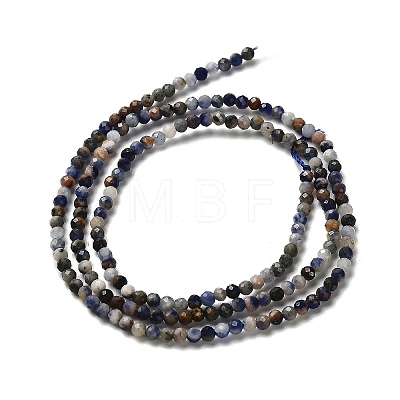 Natural Sodalite Beads Strands LS-G-RM2025-A19-2mm-A-1