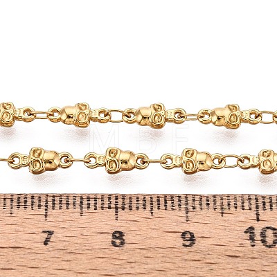 5M 304 Stainless Steel Skull Link Chains CHS-T071-42G-1