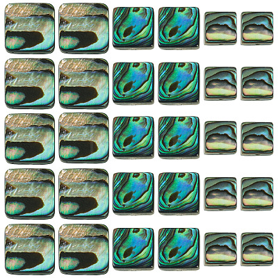30Pcs 3 Styles Natural Paua Shell Beads BSHE-TA0001-37-1