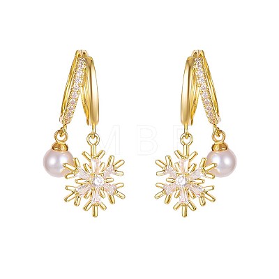 Snowflake Zinc Alloy Enamel Hoop Earrings FS-WG1295B-06-1