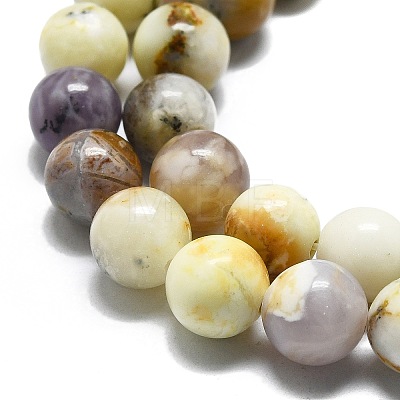 Natural Opal Beads Strands G-I356-A03-03-1