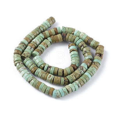 Natural Magnesite Beads Strands TURQ-L030-04B-02-1