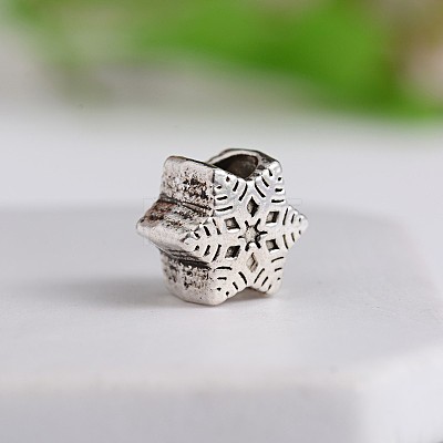 Tibetan Style Snowflake Zinc Alloy European Beads MPDL-M050-02AS-1