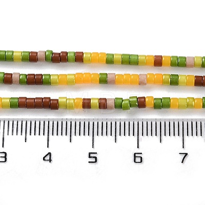 Handmade Czech Lampwork Beads Strands LAMP-L078-008H-1