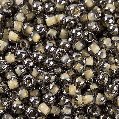 Glass Seed Beads SEED-A032-06V-1