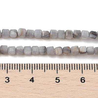 Natural Freshwater Shell Dyed Beads Strands SHEL-R100-11A-02-1