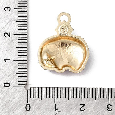 Alloy Rhinestone Pendants FIND-H055-07G-1