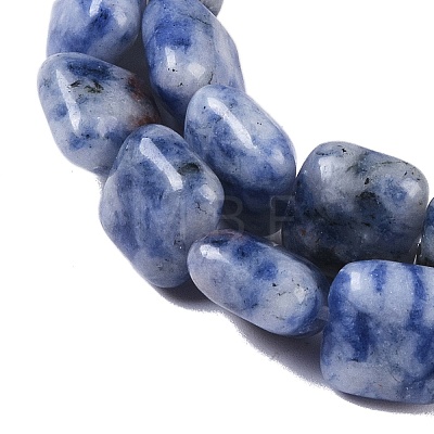 Natural Blue Spot Jasper Beads Strands G-M435-A03-01-1